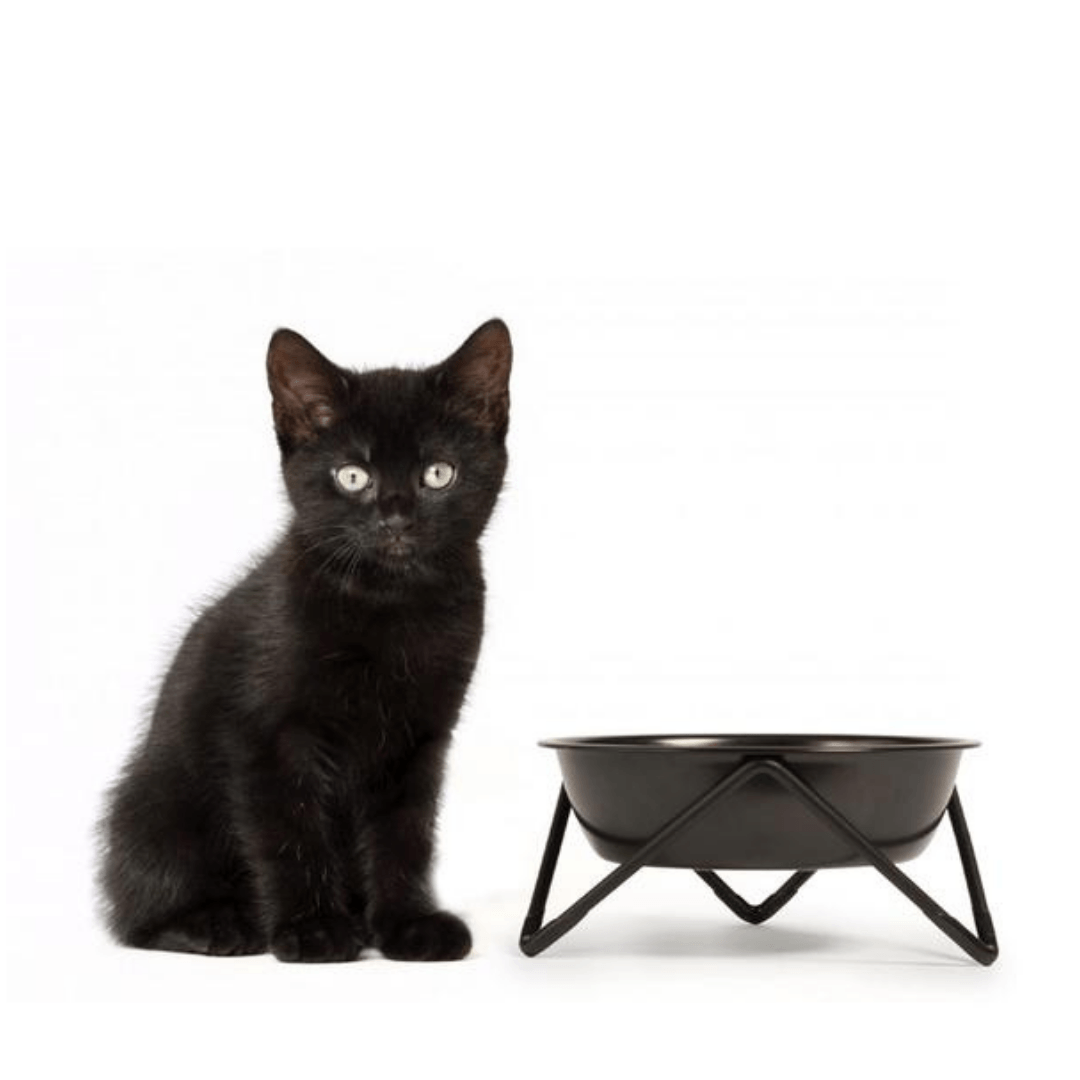 Meow Luxe Bowl - Black on Black - Pooch Luxury