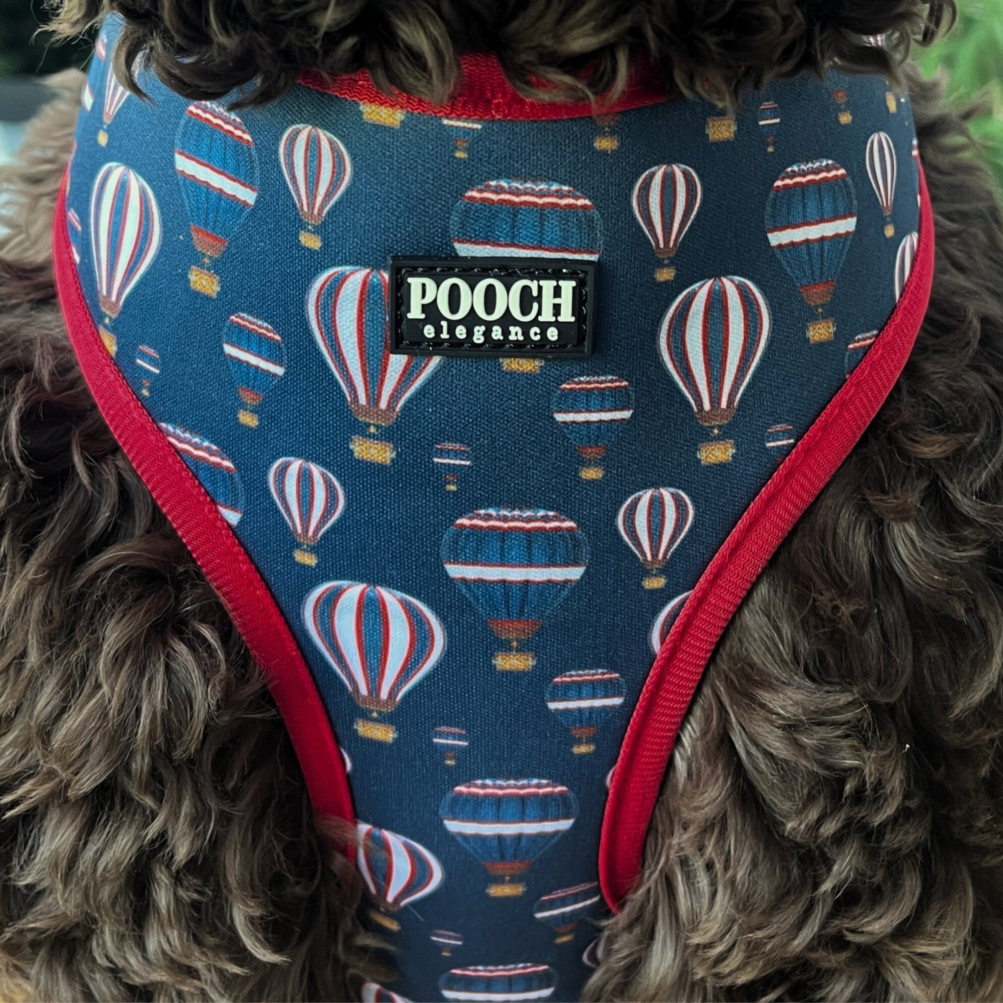 Midnight Balloons Reversible Dog Harness - Pooch Luxury
