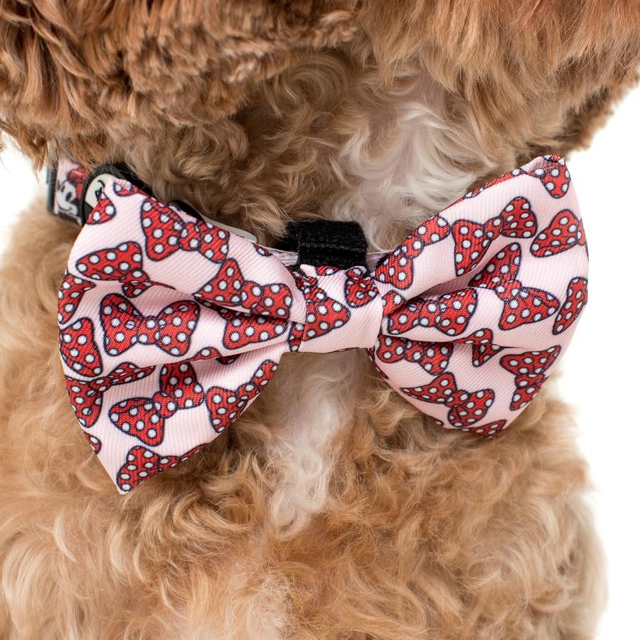 Minnie Mouse Bows Bow Tie - Pooch Luxury