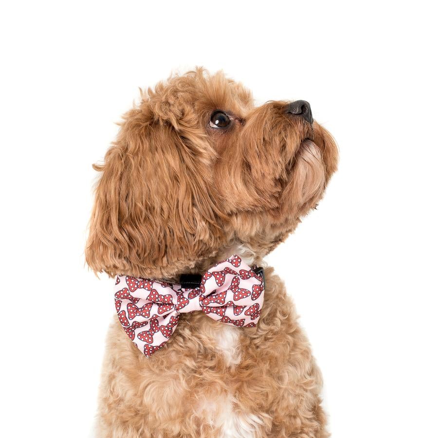 Minnie Mouse Bows Bow Tie - Pooch Luxury