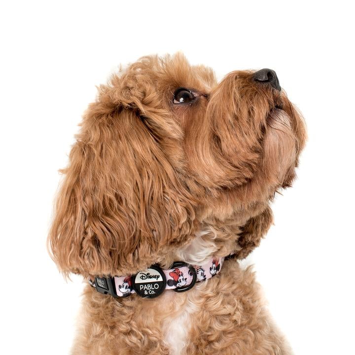 Minnie Mouse Dog Collar - Pooch Luxury