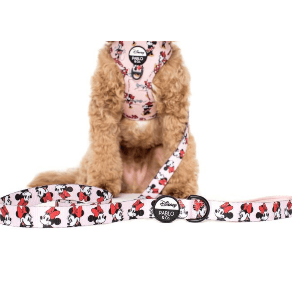 
                  
                    Minnie Mouse Dog Leash - Pooch Luxury
                  
                
