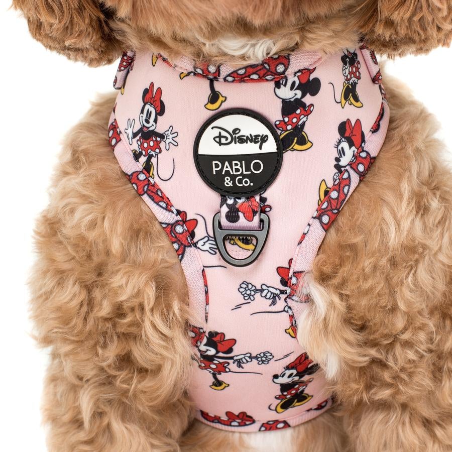 Minnie Mouse & Flowers Adjustable Harness - Pooch Luxury