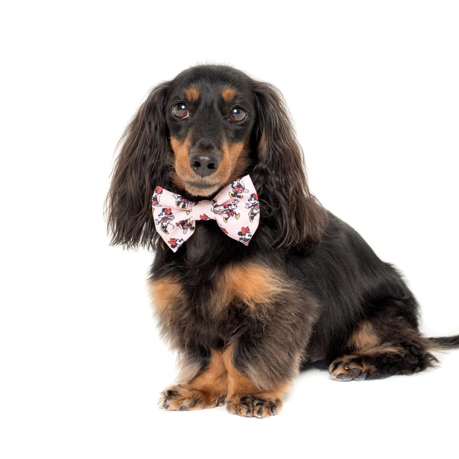 Minnie Mouse & Flowers Bow Tie - Pooch Luxury