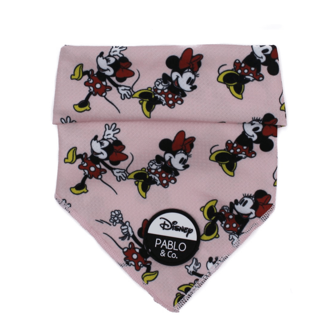 Minnie Mouse & Flowers Dog Bandana - Pooch Luxury