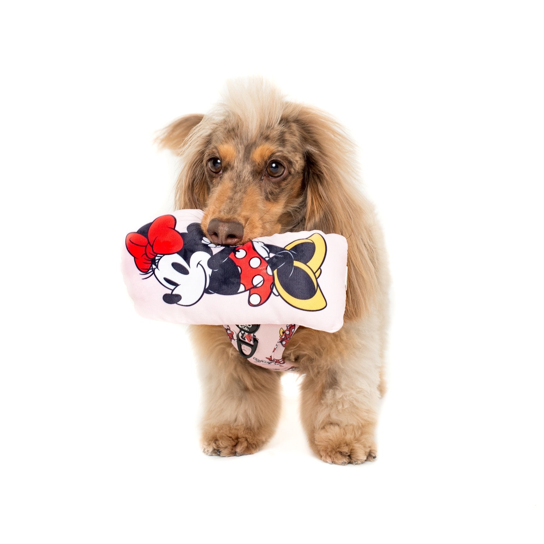 Minnie Mouse Squeaky Toy - Pooch Luxury