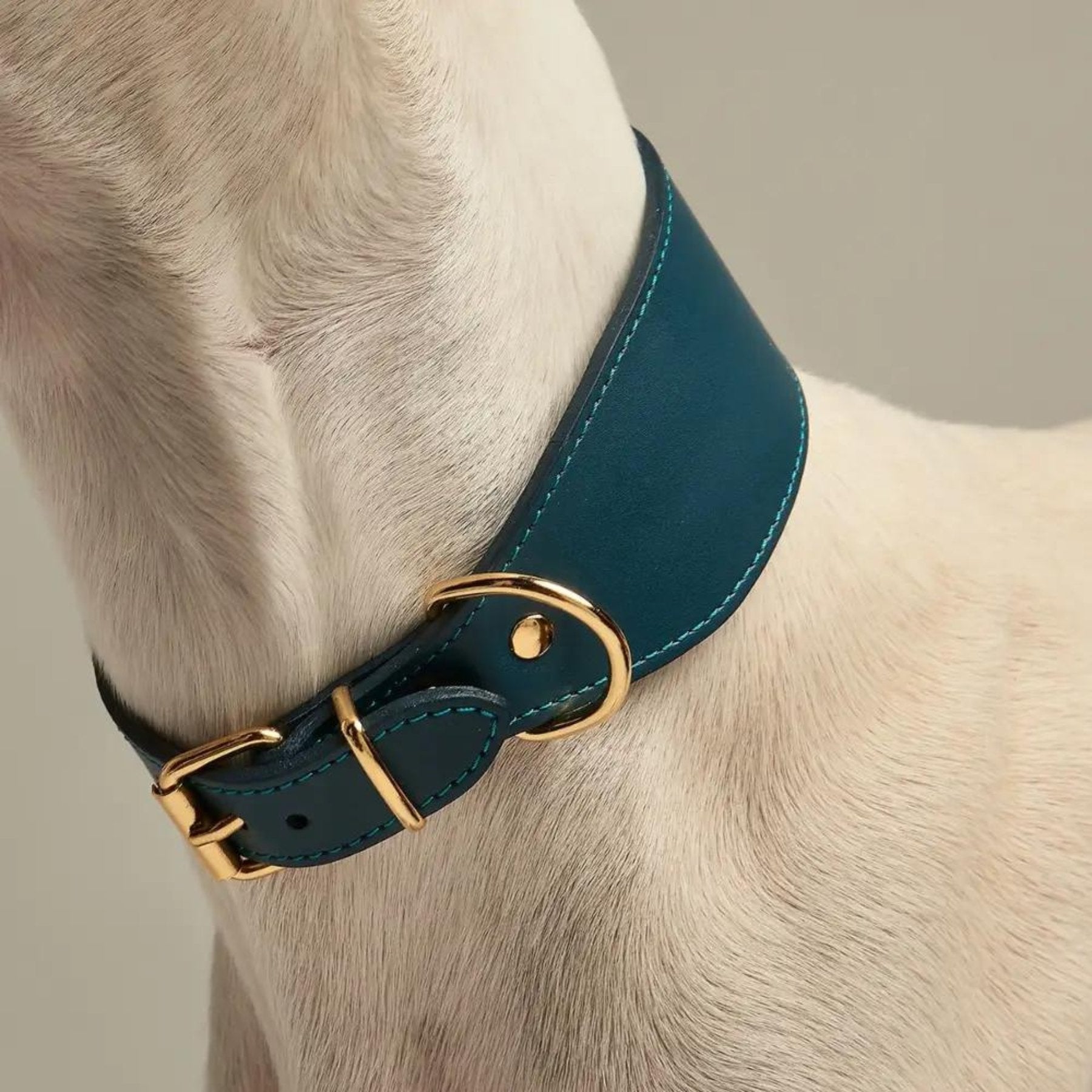 Nara Blue Greyhound Collar - Pooch Luxury