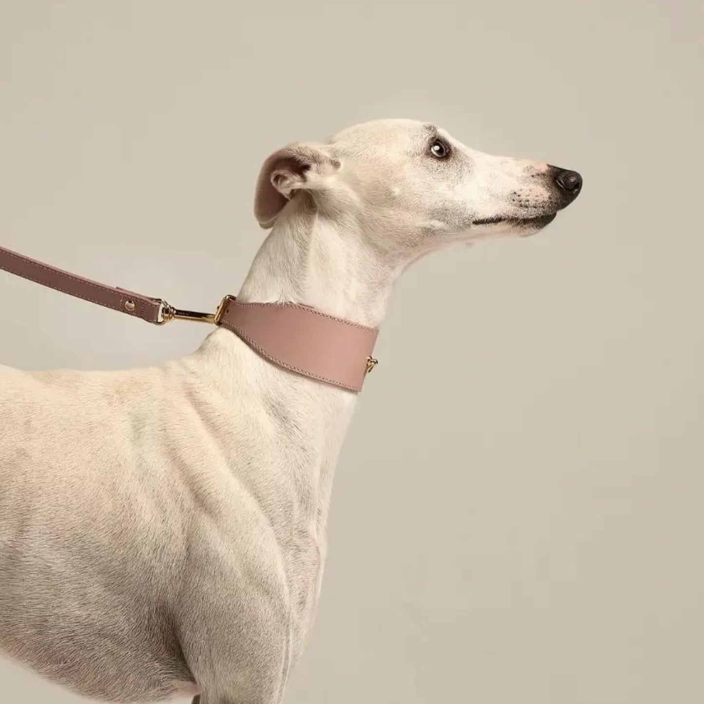 Nara Pink Greyhound Collar - Pooch Luxury