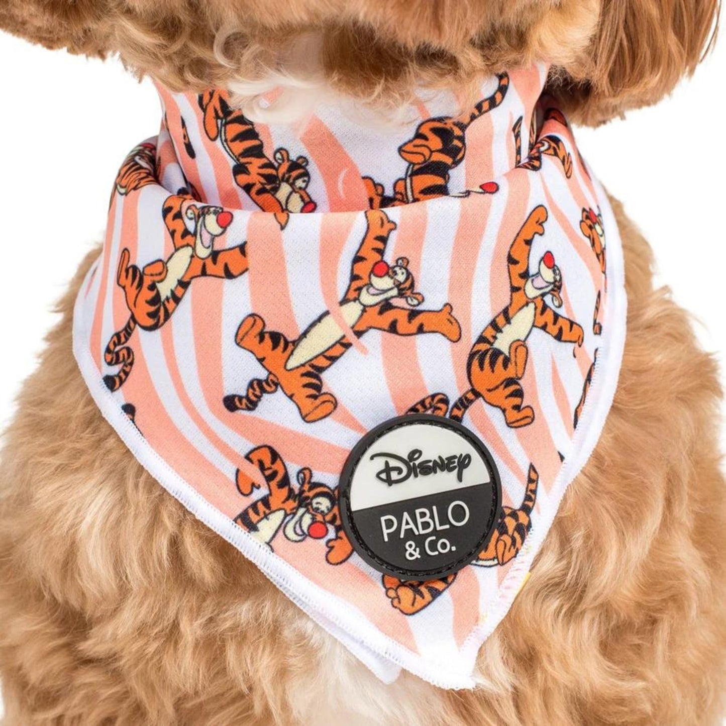 One of a Kind Tigger Dog Bandana - Pooch Luxury