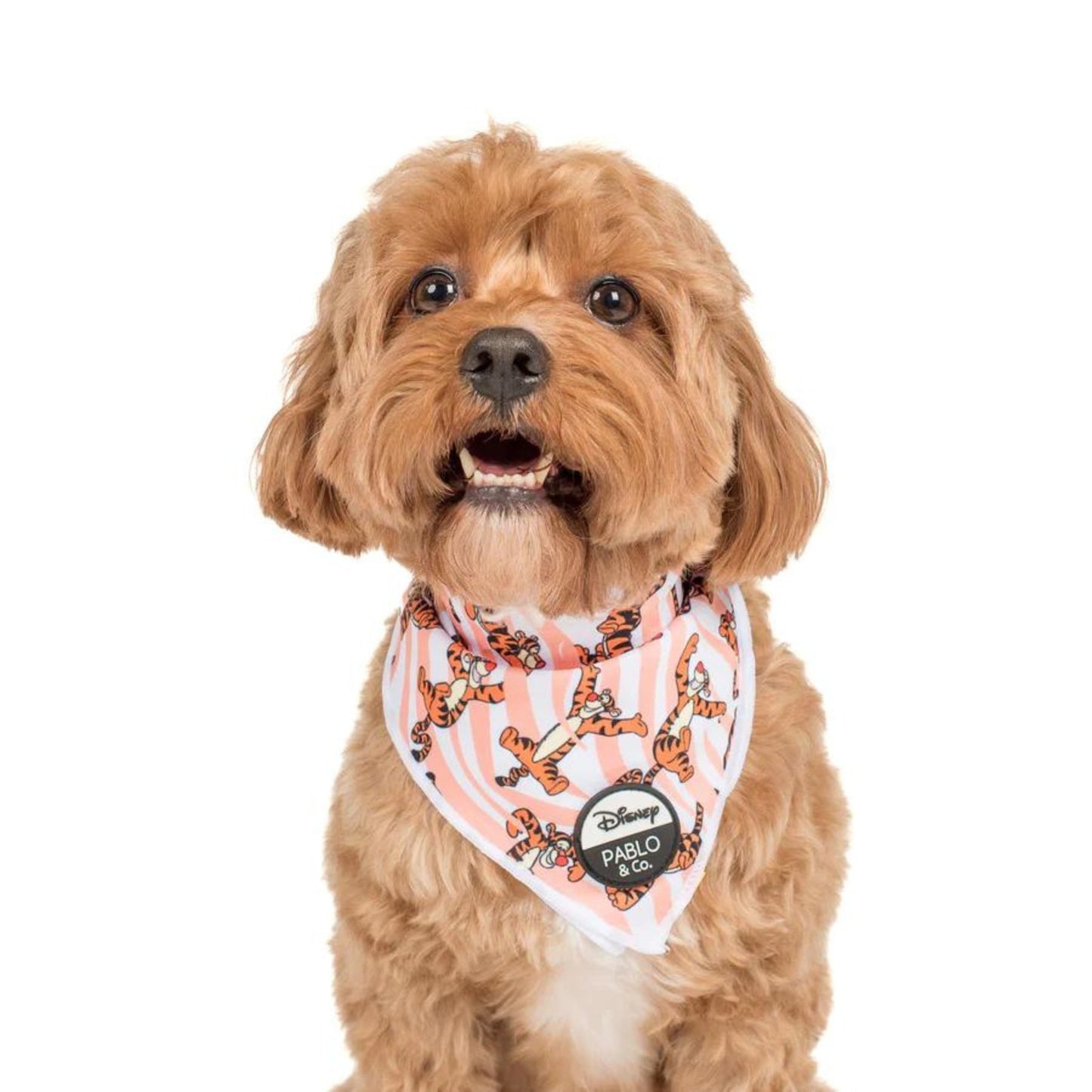 One of a Kind Tigger Dog Bandana - Pooch Luxury