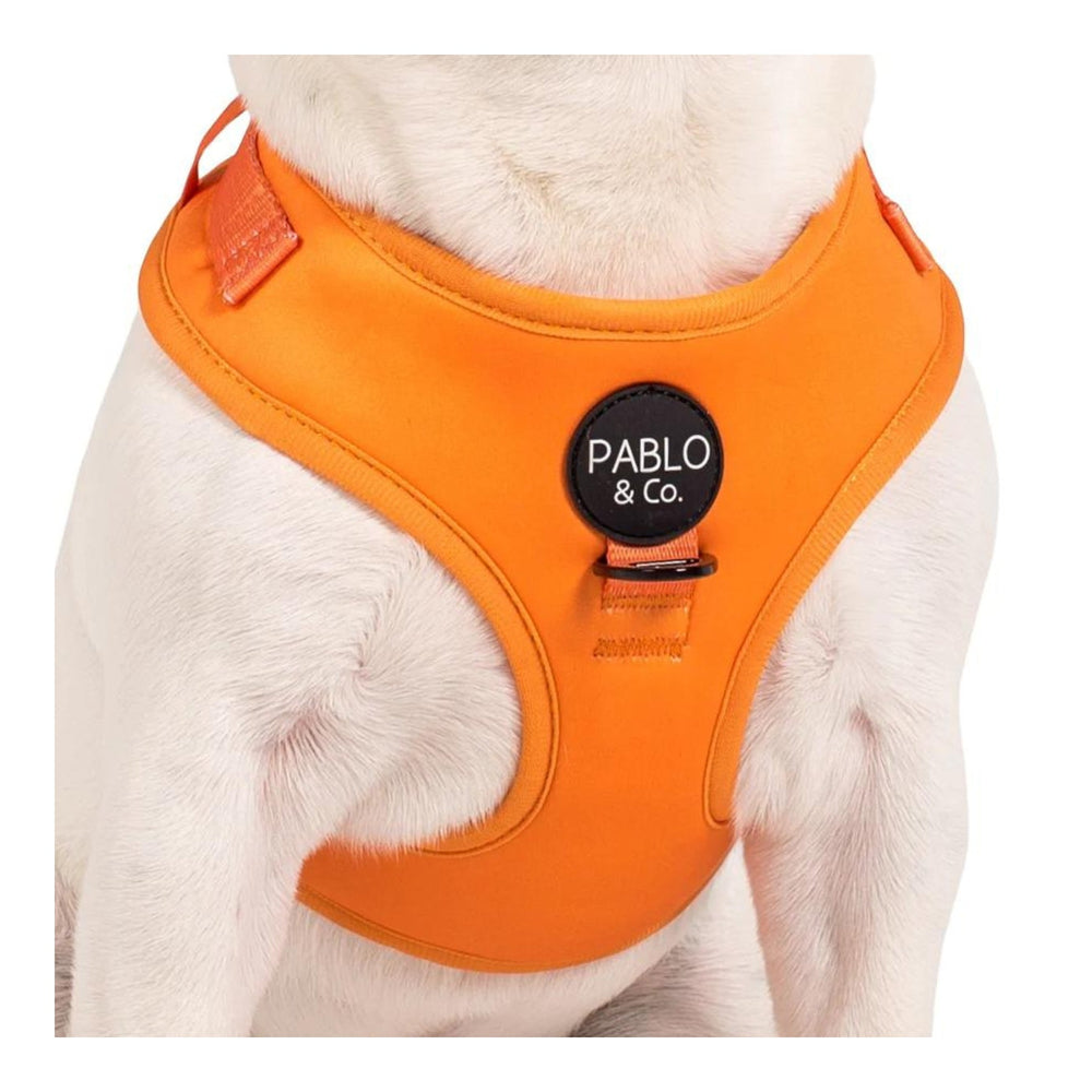 
                  
                    Orange Crush Adjustable Dog Harness - Pooch Luxury
                  
                