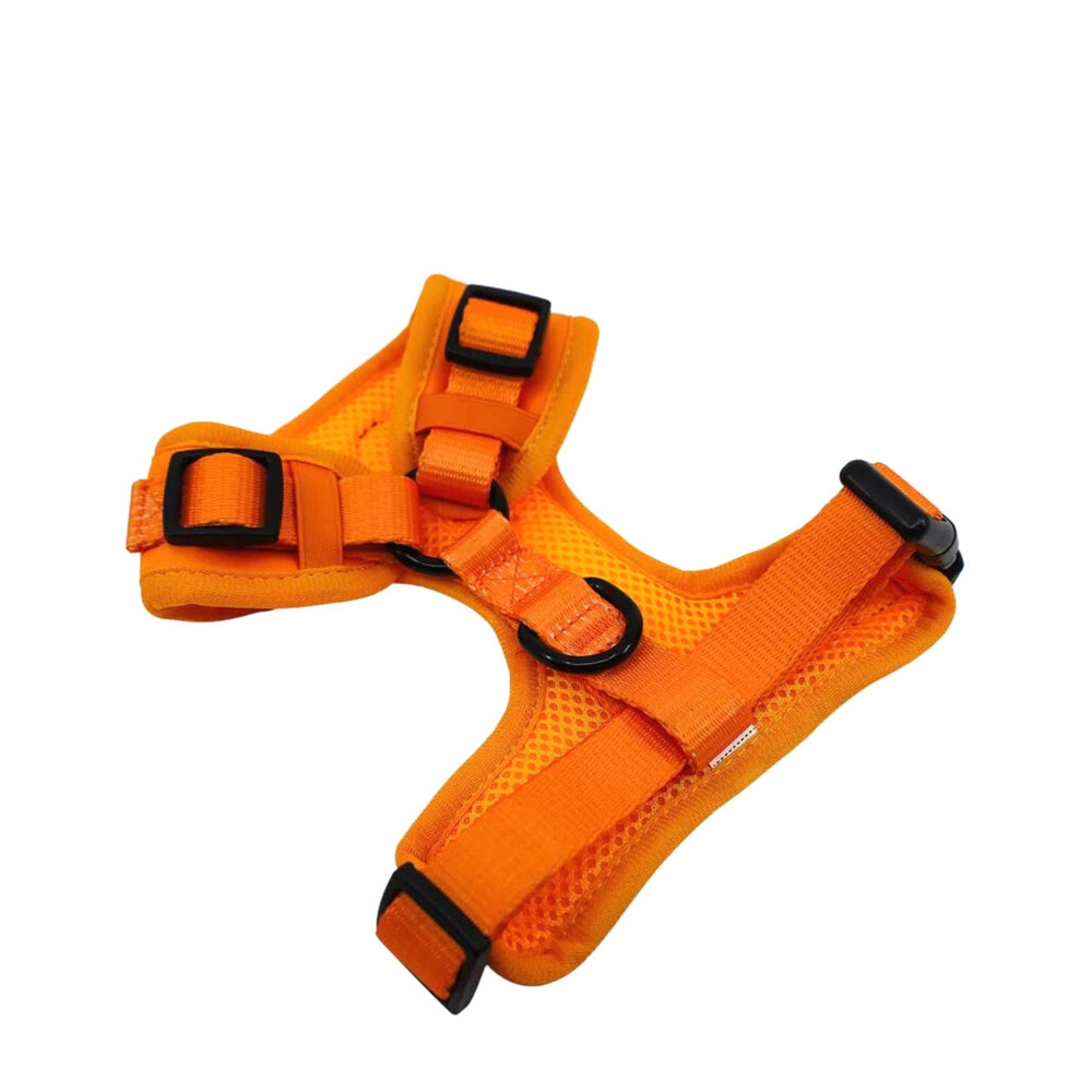 Orange Crush Adjustable Dog Harness - Pooch Luxury