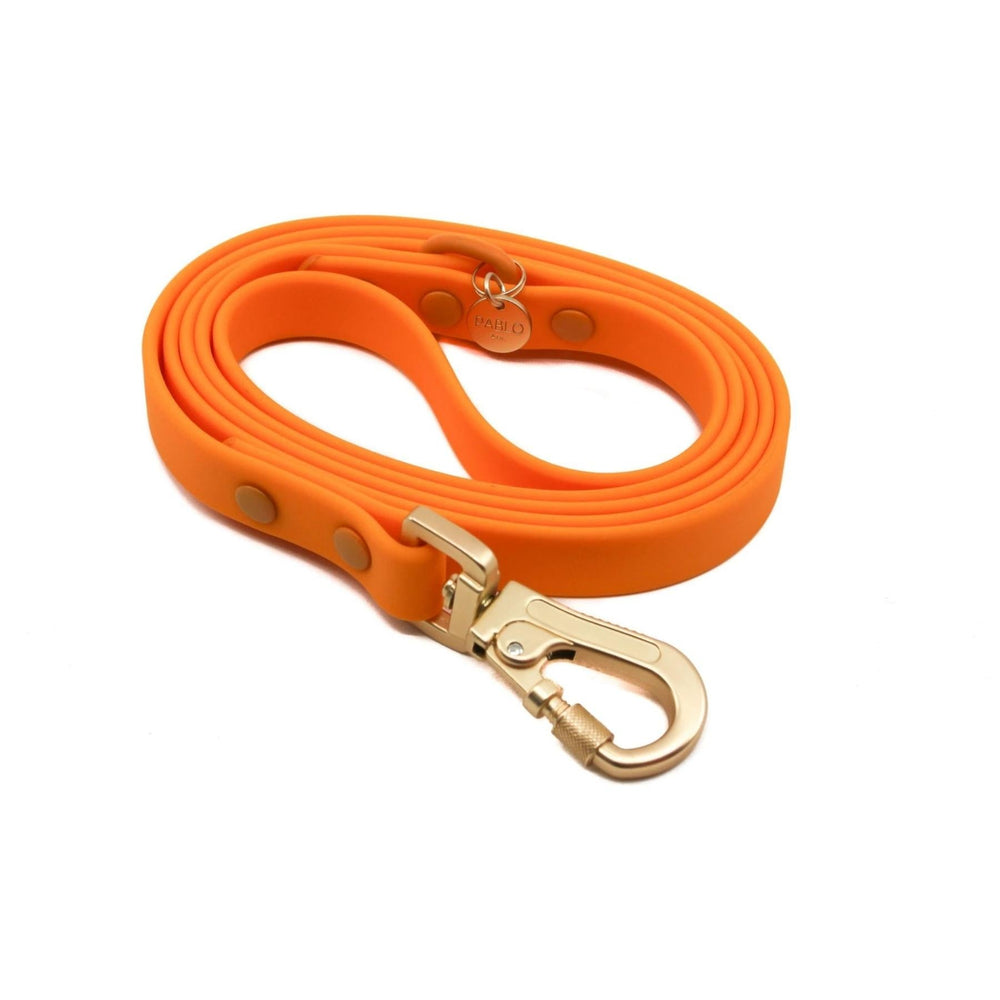 Orange Crush Waterproof Leash - Pooch Luxury