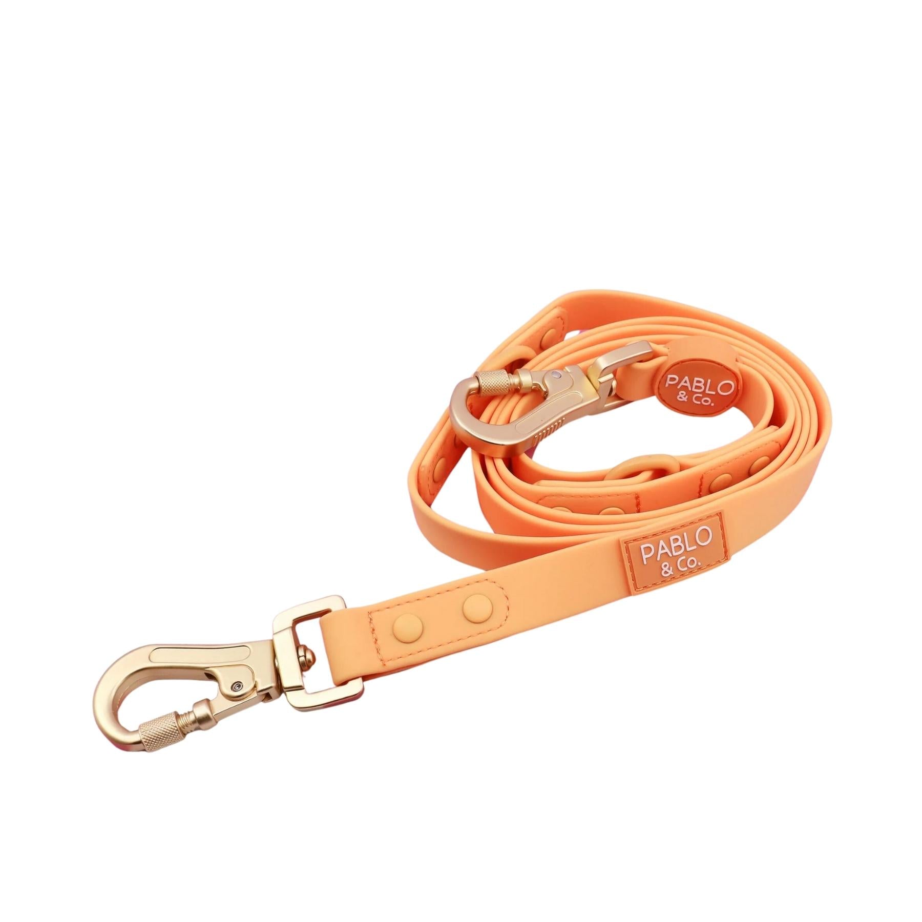 Orange Sherbet Multi-Functional Waterproof Leash - Pooch Luxury