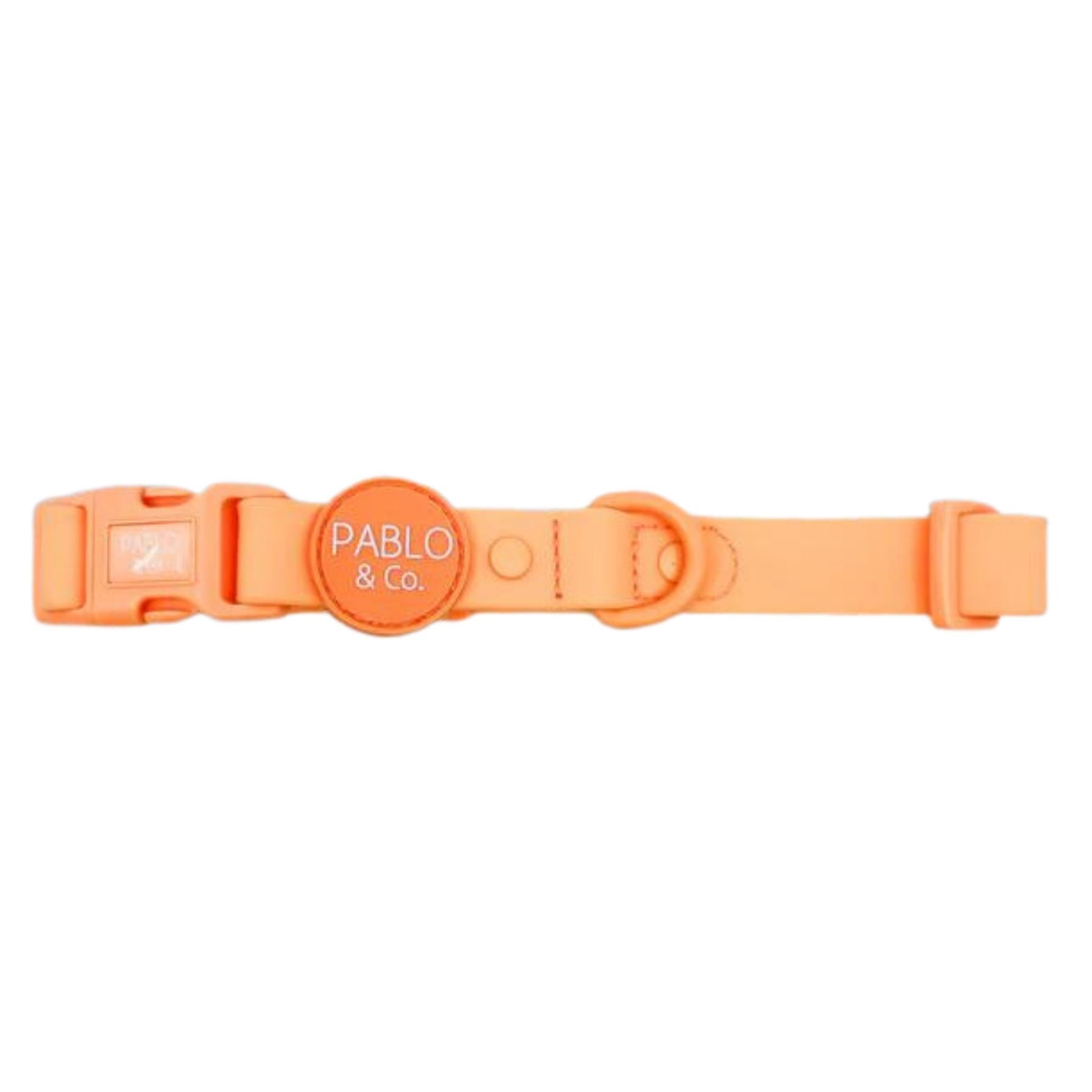 Orange Sherbet Waterproof Collar - Pooch Luxury