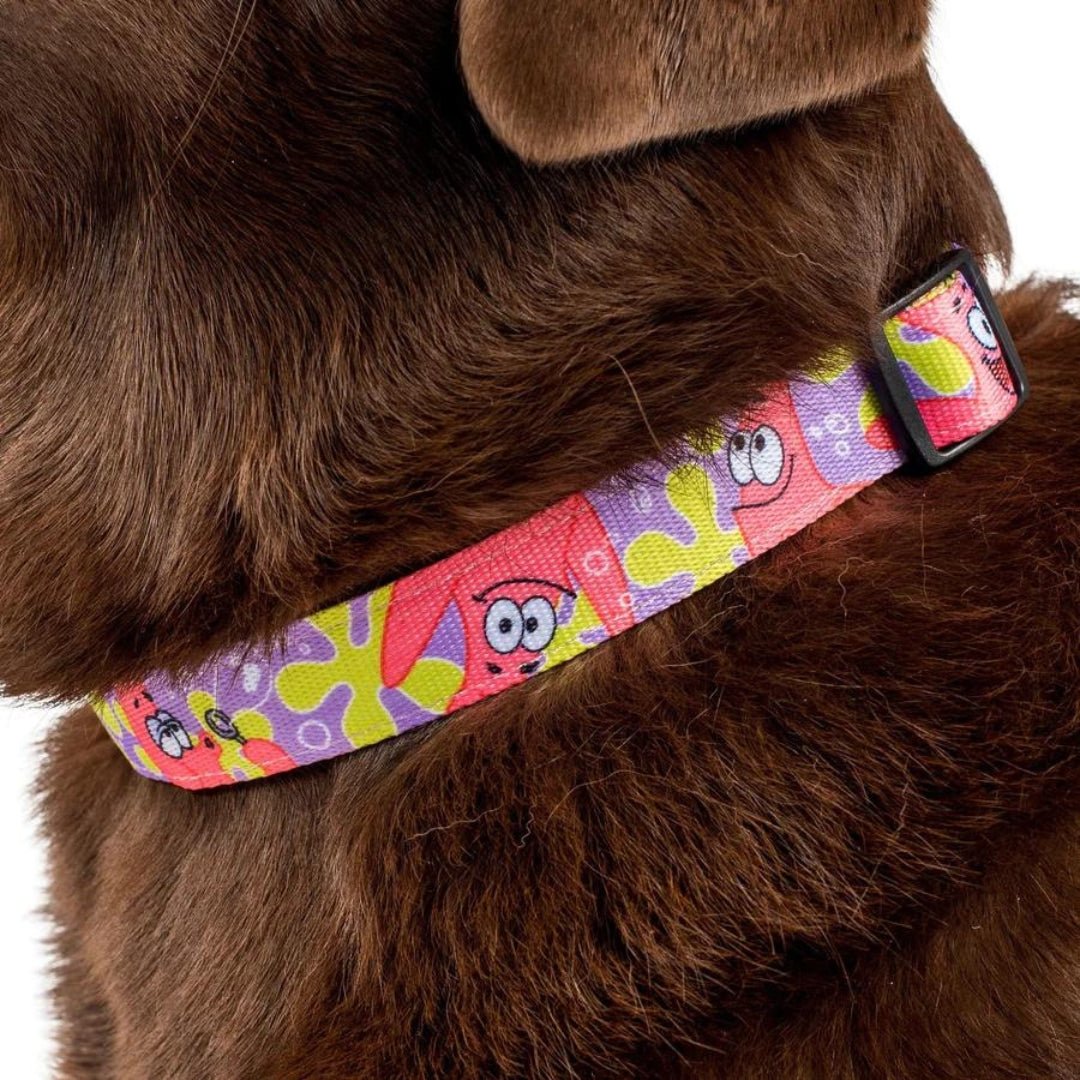 Patrick Dog Collar - Pooch Luxury