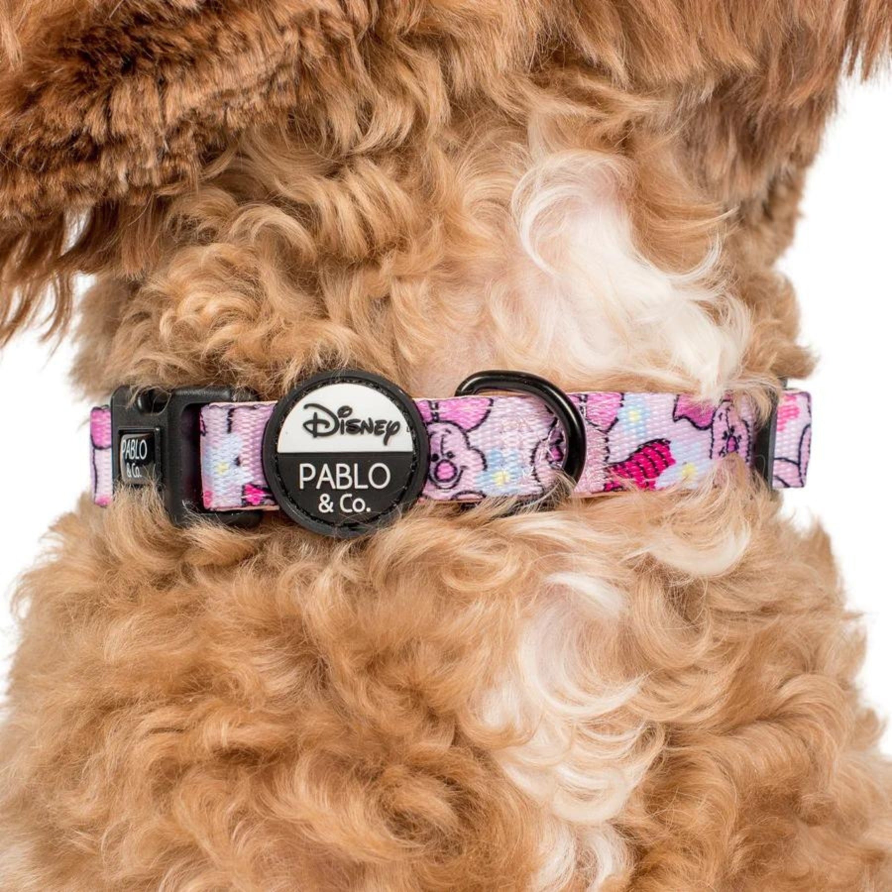 Piglet Dog Collar - Pooch Luxury