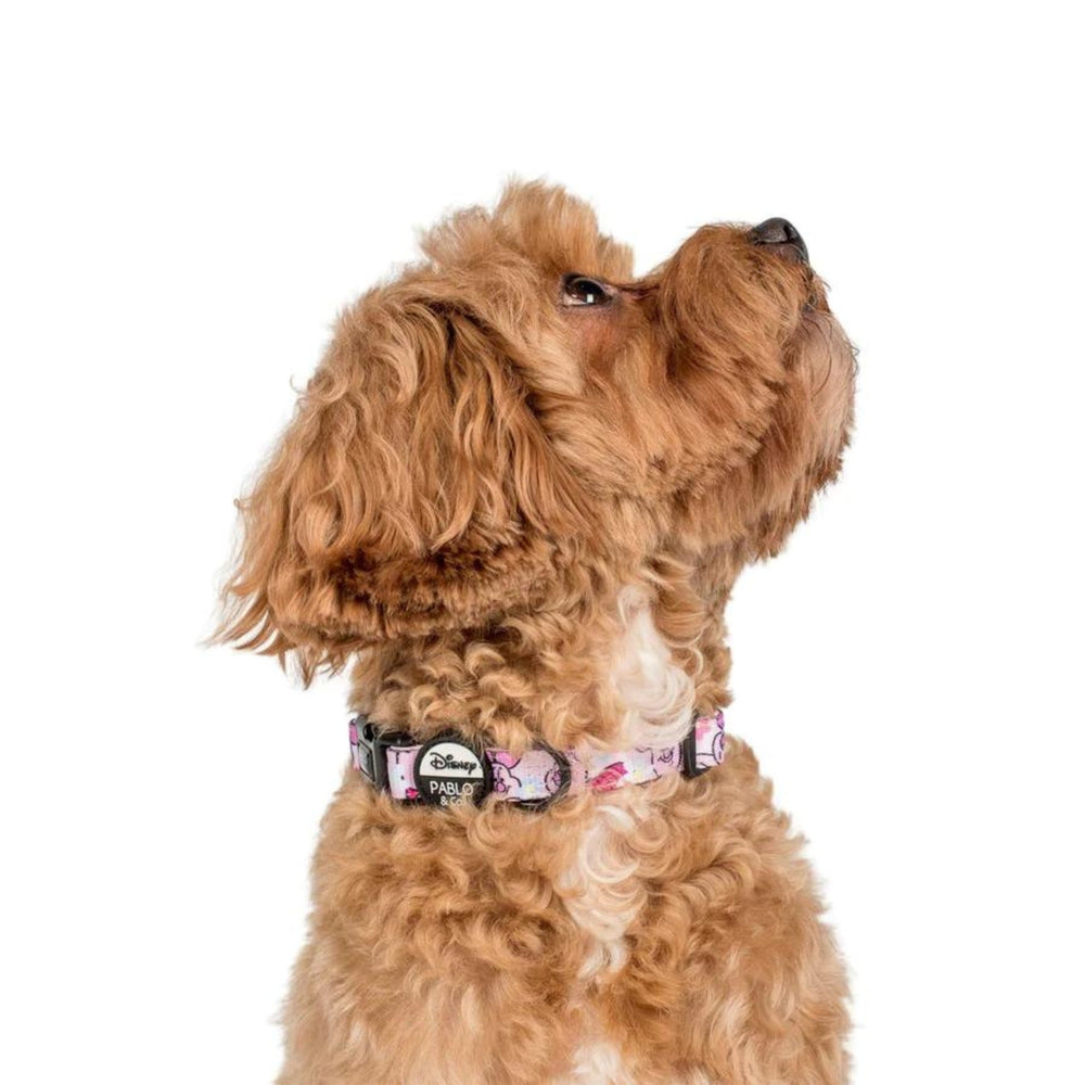 
                      
                        Piglet Dog Collar - Pooch Luxury
                      
                    