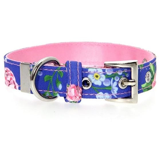 
                  
                    Pink & Blue Floral Burst Collar - Pooch Luxury
                  
                
