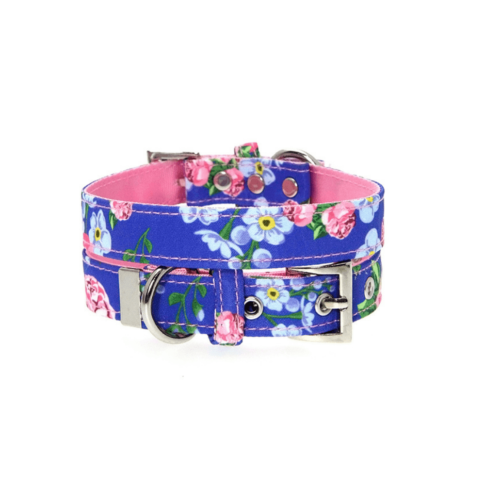 Pink & Blue Floral Burst Collar - Pooch Luxury