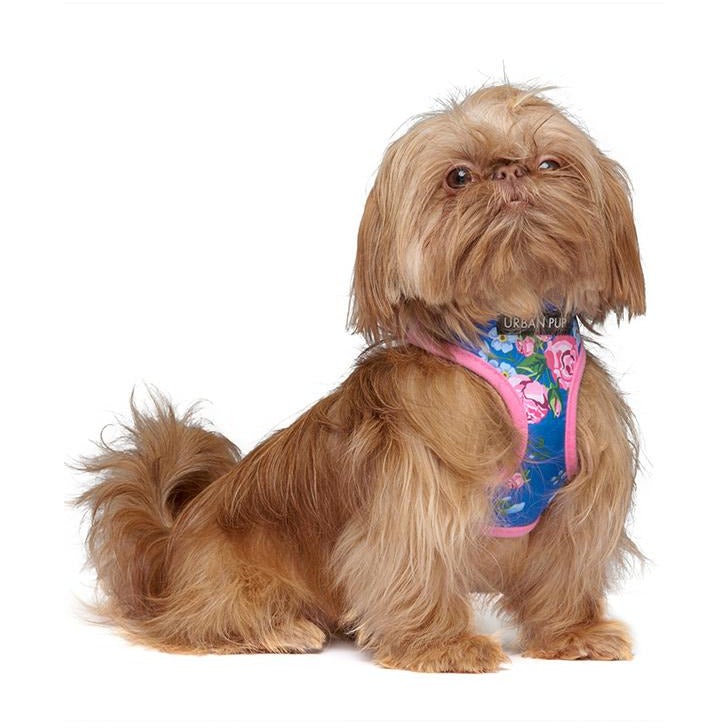 
                      
                        Pink & Blue Floral Burst Harness - Pooch Luxury
                      
                    