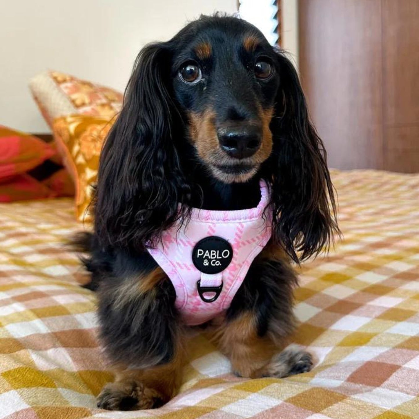 Pink Houndstooth Adjustable Harness - Pooch Luxury