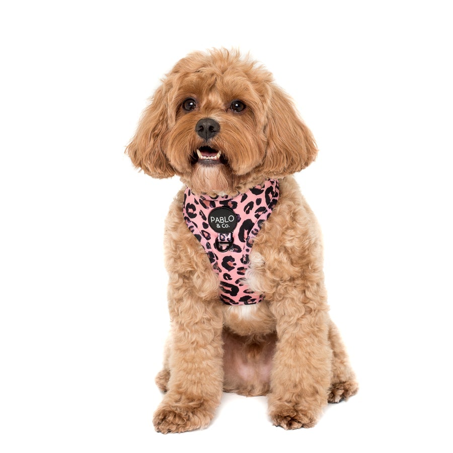 Pink Leopard Adjustable Harness - Pooch Luxury