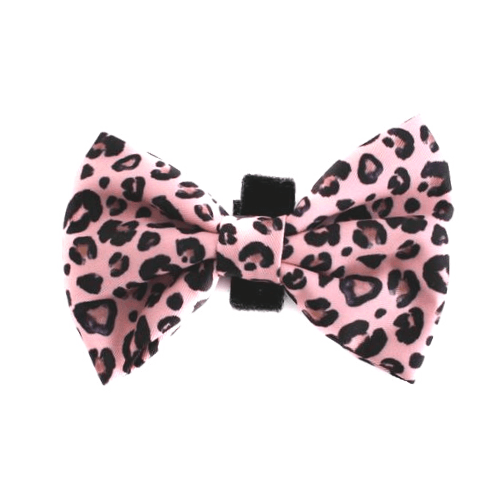 Pink Leopard Bow Tie - Pooch Luxury
