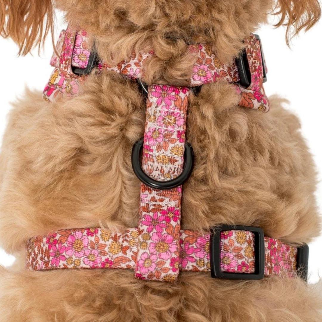 Pink Posie's Adjustable Harness - Pooch Luxury