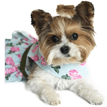 Pink Rose Harness Dress with Matching Leash - Pooch Luxury