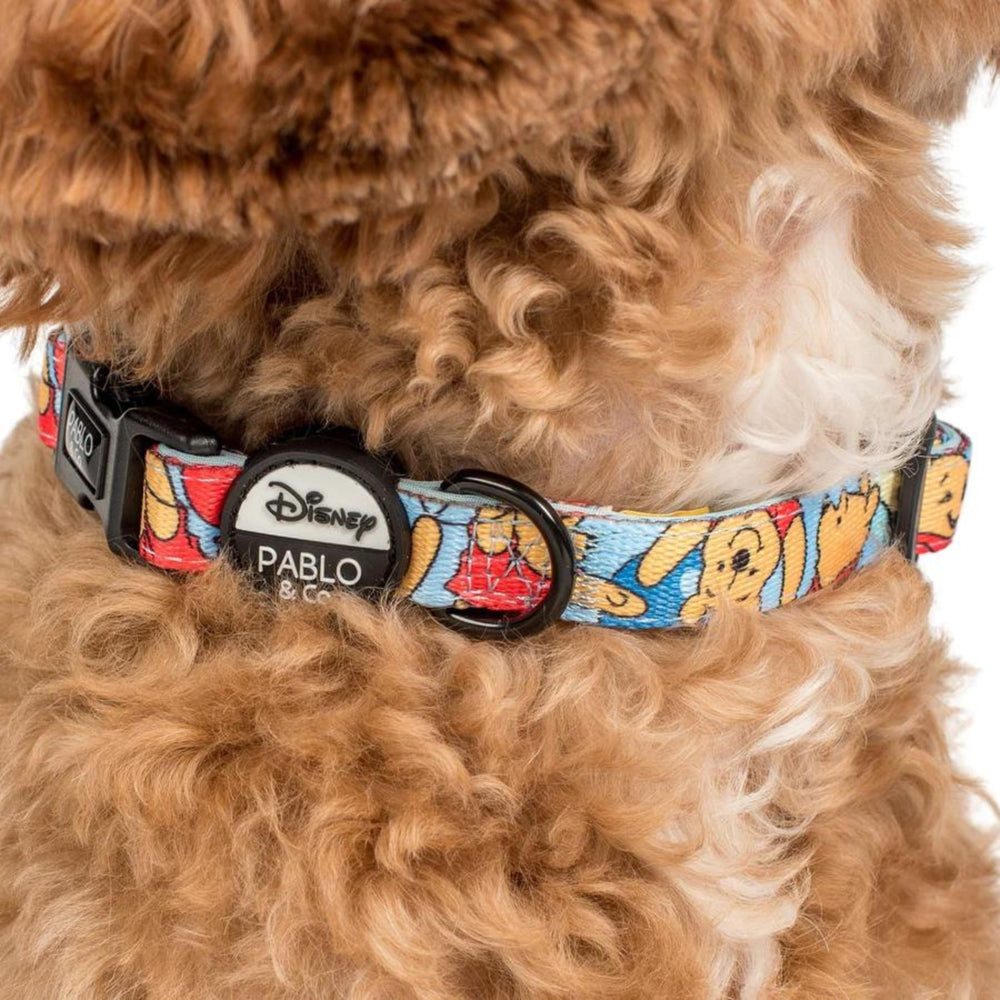 Pooh's Balloons Dog Collar - Pooch Luxury