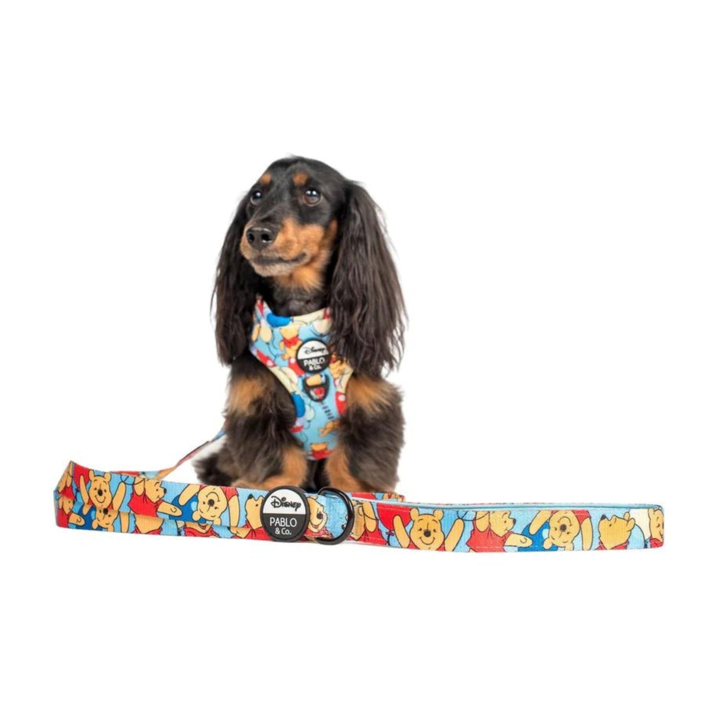 Pooh's Balloons Dog Leash - Pooch Luxury