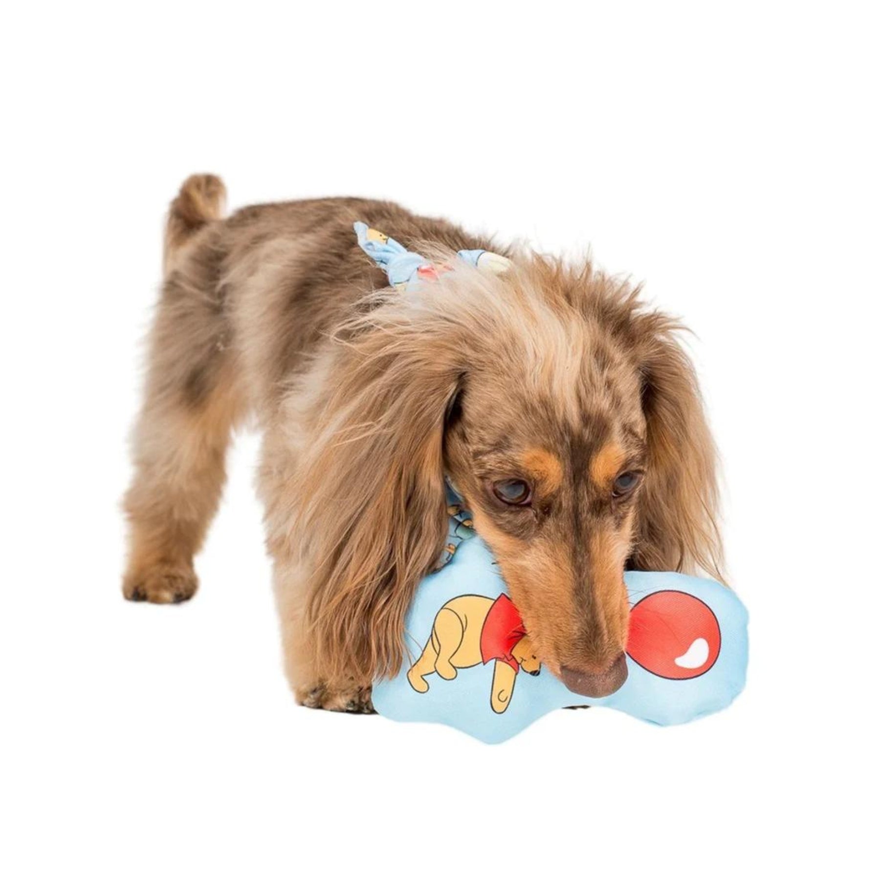 Pooh's Balloons Squeaky Toy - Pooch Luxury