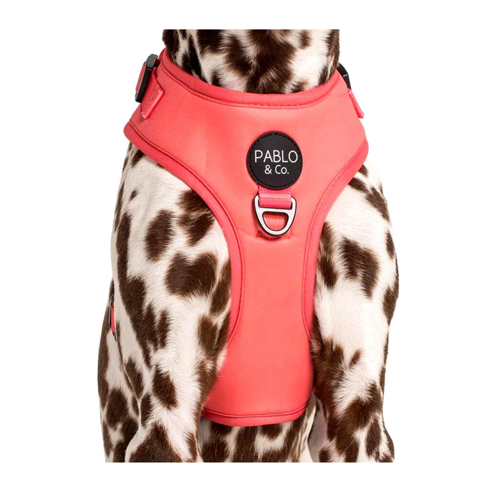 
                  
                    Raspberry Adjustable Dog Harness - Pooch Luxury
                  
                