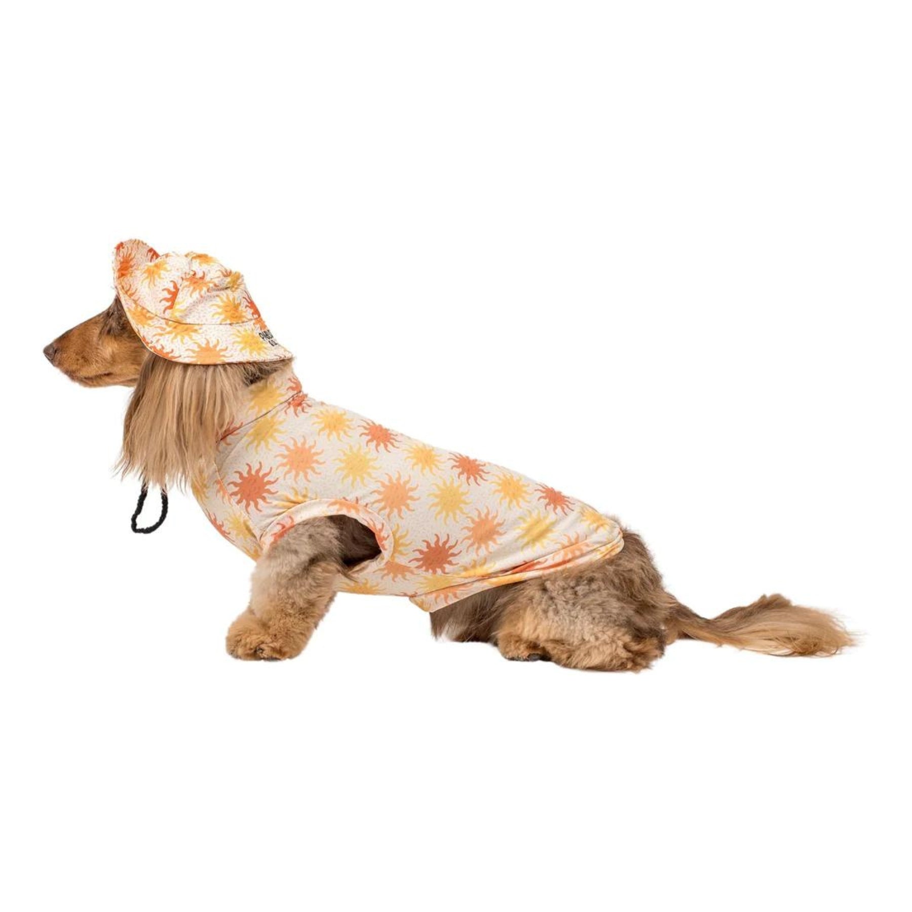 Ray of Sunshine Dog Bucket Hat - Pooch Luxury