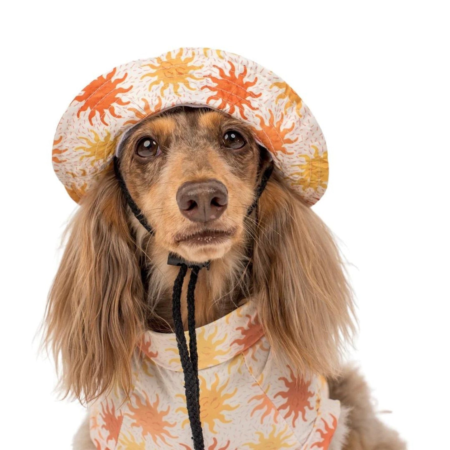 Ray of Sunshine Dog Bucket Hat - Pooch Luxury