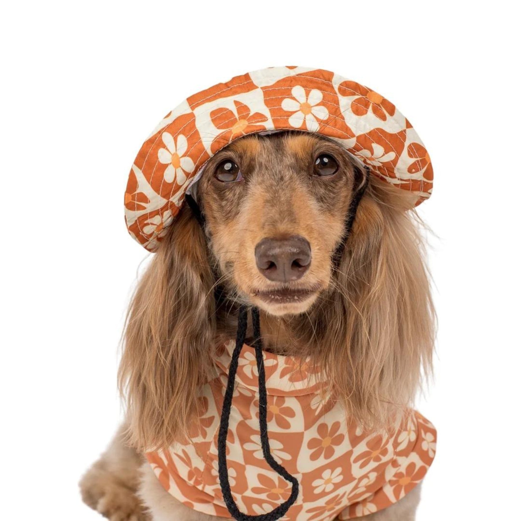 Retro Dazie Dog Bucket Hat - Pooch Luxury