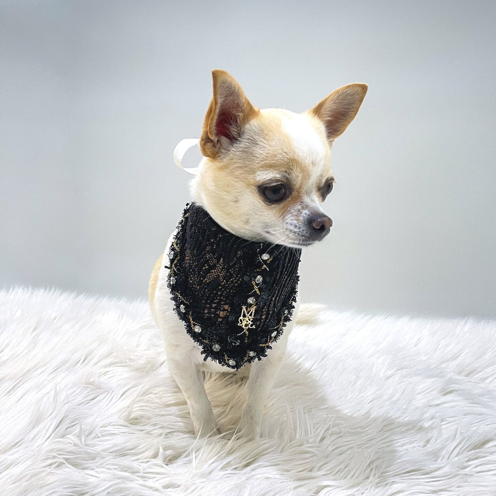 
                  
                    Romance Collection - The Romeo - Pooch Luxury
                  
                