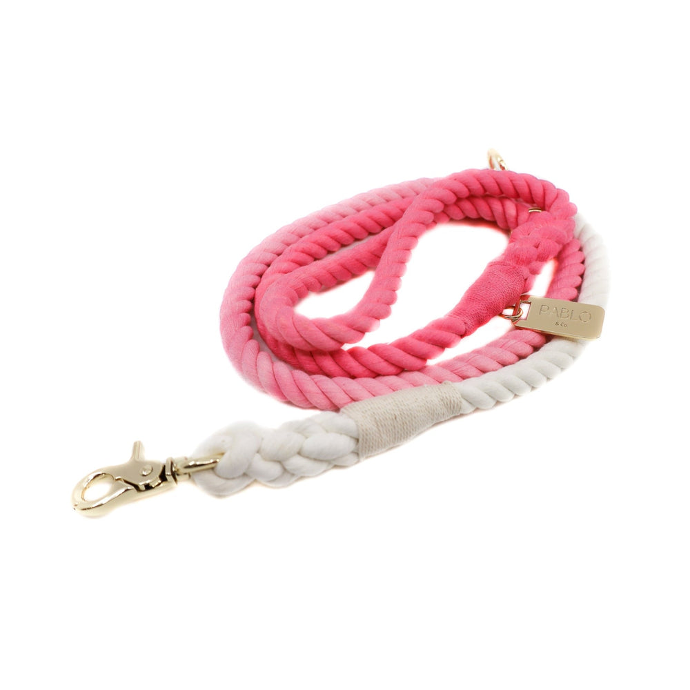 Rope Leash - Ombre Pink Flamingo - Pooch Luxury