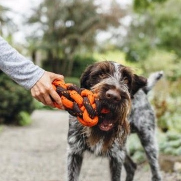 Scout & About Honeycomb Rope Toy - Pooch Luxury