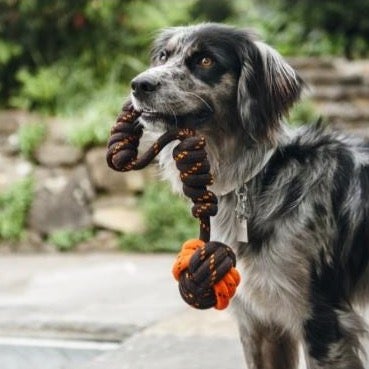 Scout & About Tug Ball Rope Toy - Pooch Luxury