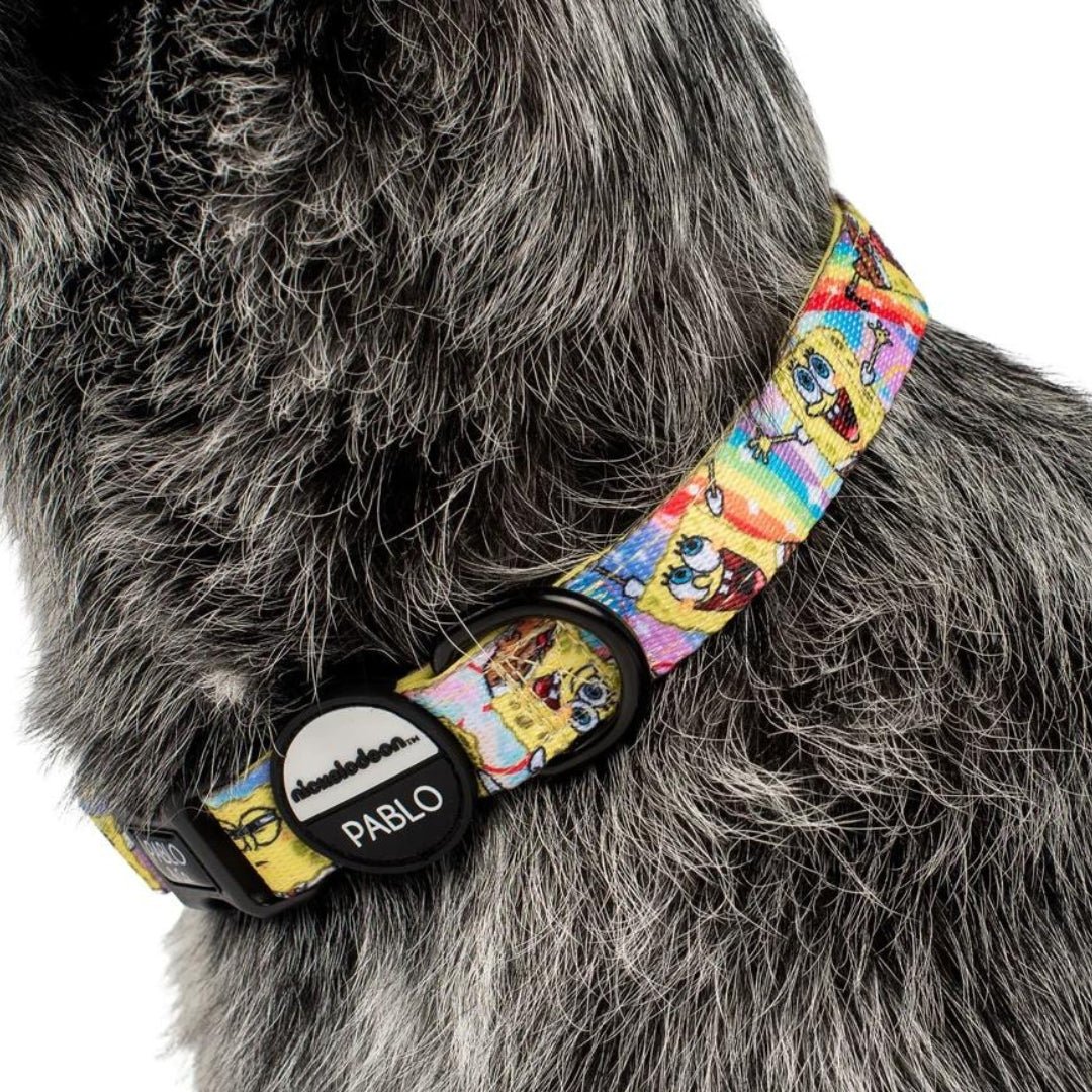 Spongebob dog outlet collar