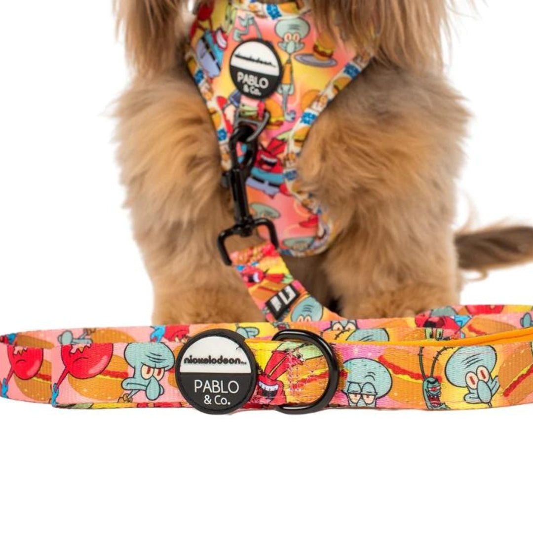 Squidward & Mr. Krabs Dog Leash - Pooch Luxury