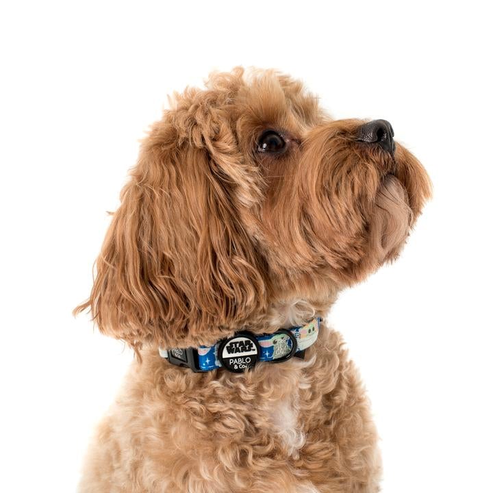 Star Wars Grogu Dog Collar - Pooch Luxury