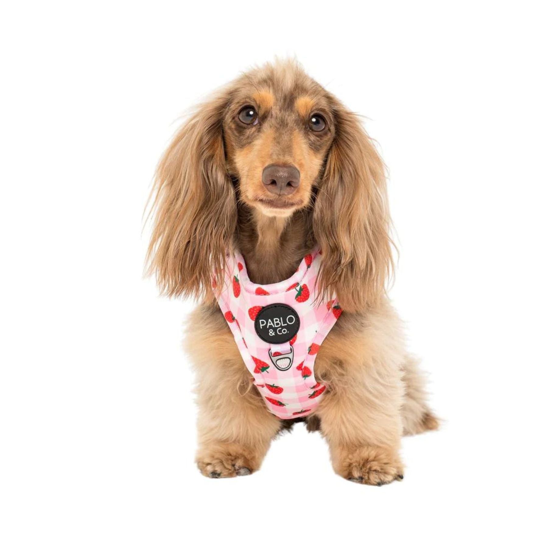 Strawberry Fields Adjustable Harness Pooch Luxury