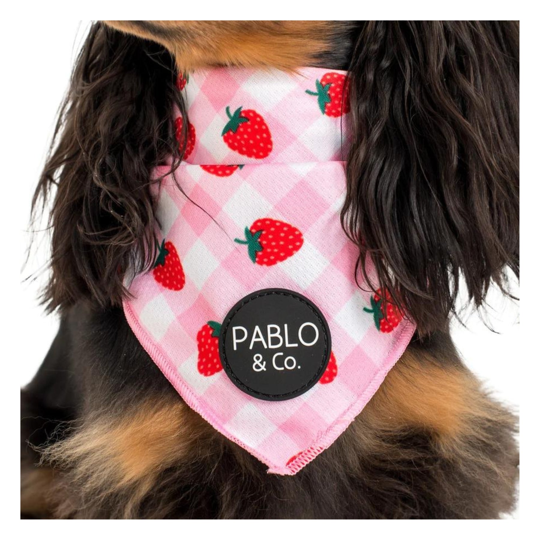 Strawberry Fields Dog Bandana - Pooch Luxury