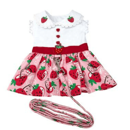 Strawberry Picnic Dog Dress with Matching Leash - Pooch Luxury
