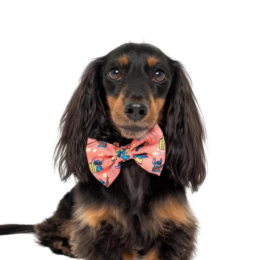 Surfin' Stitch Bow Tie - Pooch Luxury