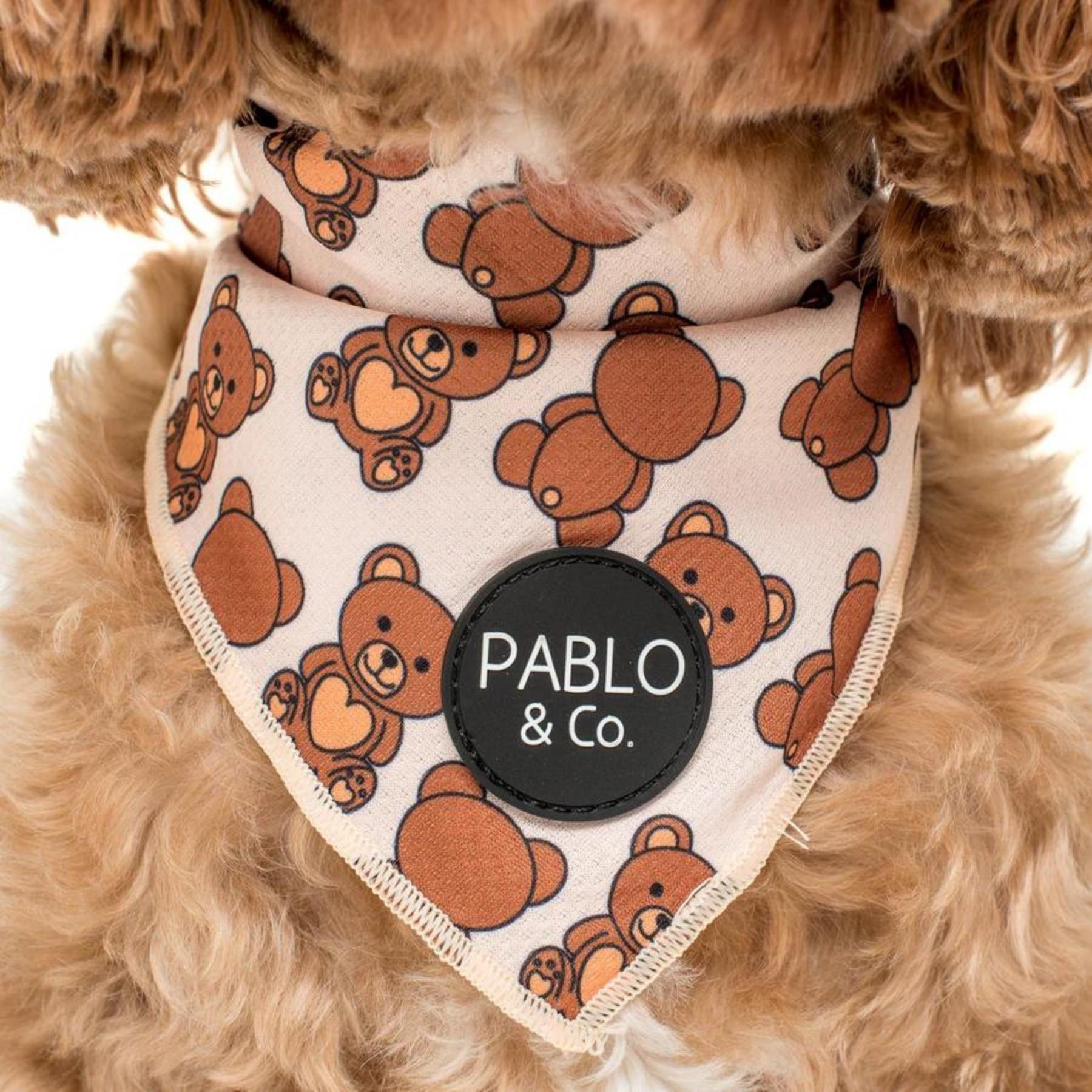 Teddy Bears Picnic Dog Bandana - Pooch Luxury