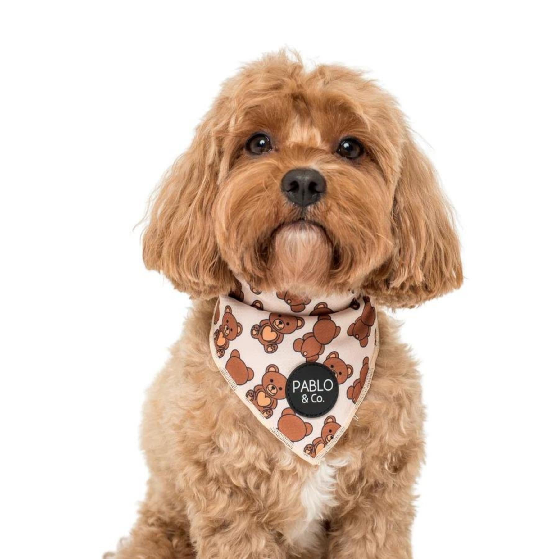 Pablo clearance dog bandana